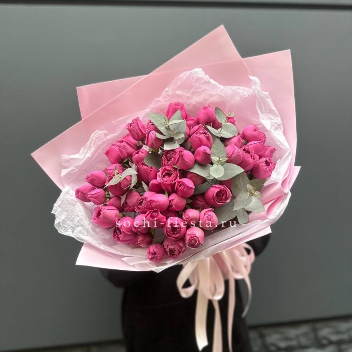 25 Мисти бабблс в Рязани