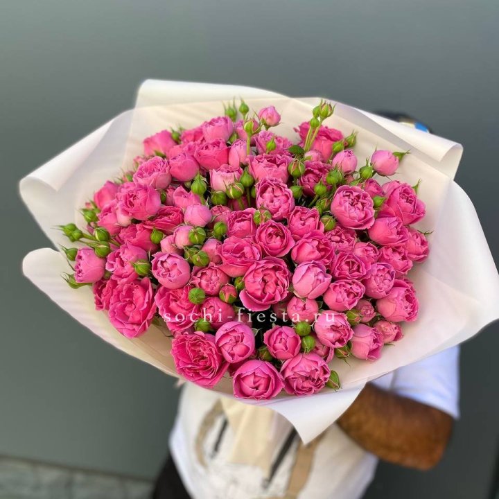 Мисти Баблс 35шт в Рязани