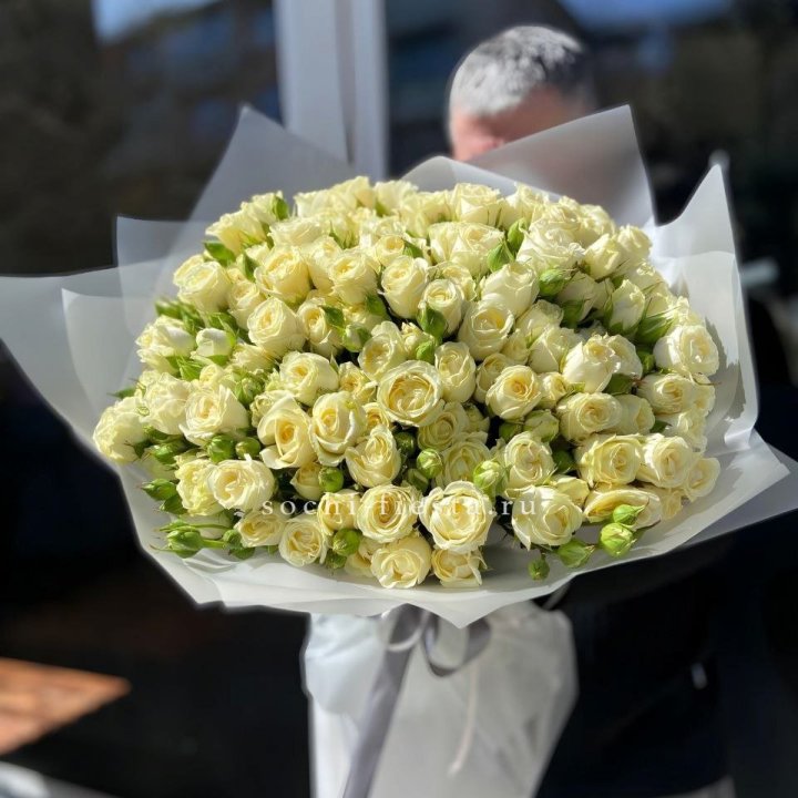 Белые кустовые розы 31 шт в Рязани