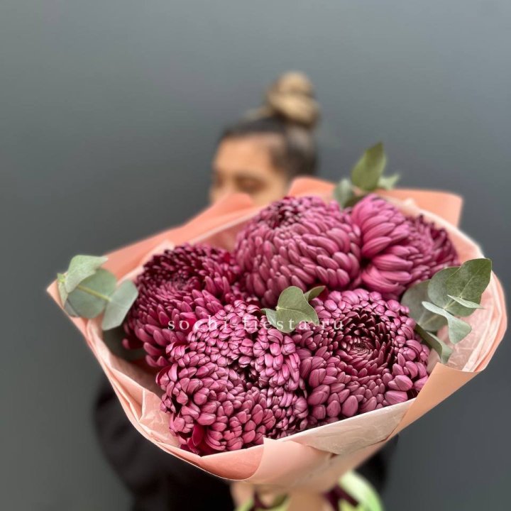 Хризантемы  Бигуди  в Рязани