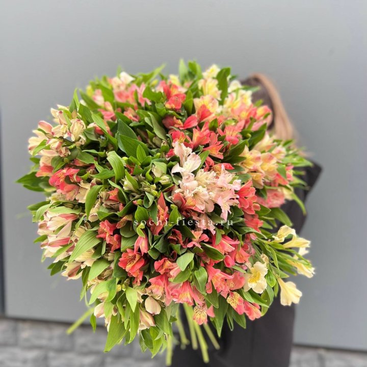 51 альстромерия в Рязани