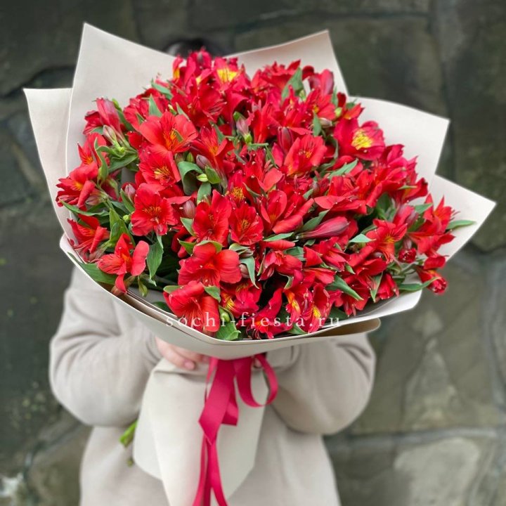 51 альстромерия в Рязани