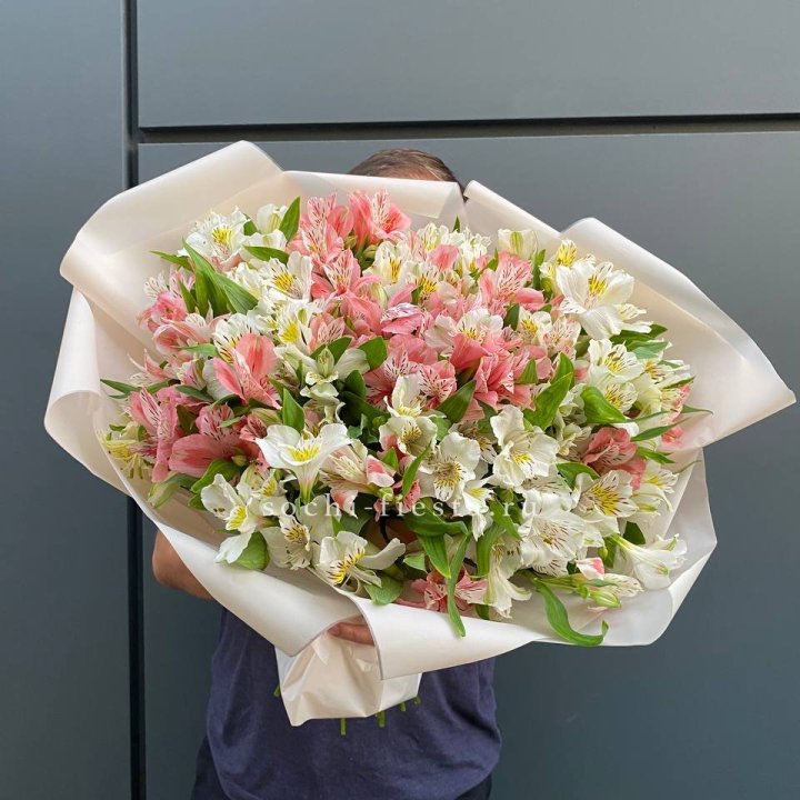 39 альстромерий в Рязани