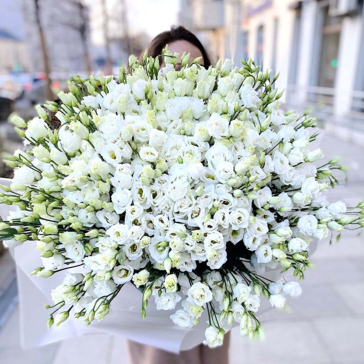 101 белая эустома в Рязани