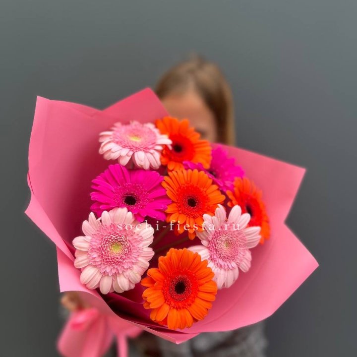 Краски в Рязани