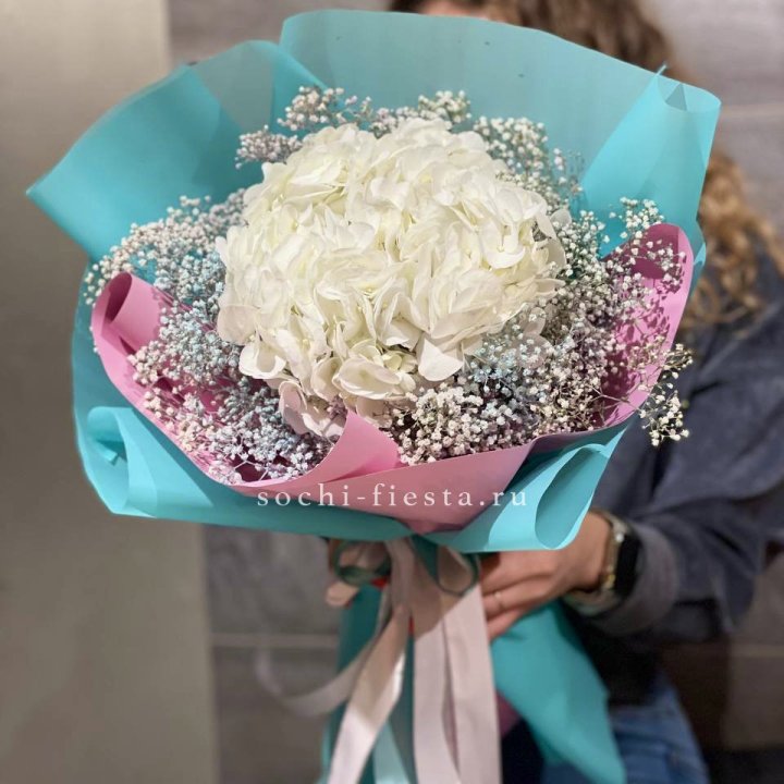 Гортензия "Райдов" в Рязани