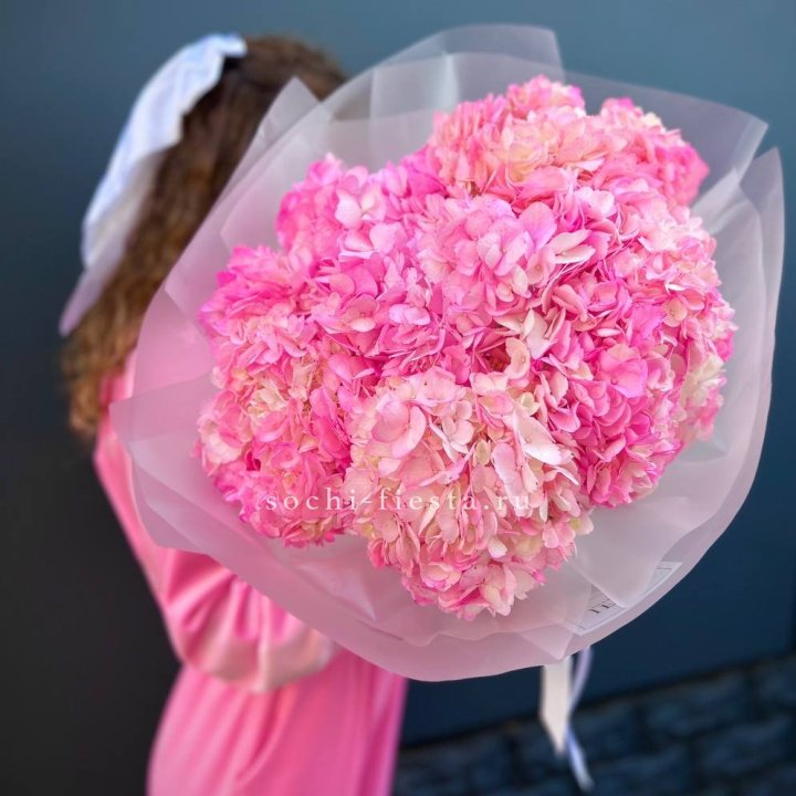 7 ярко розовых гортензий в Рязани