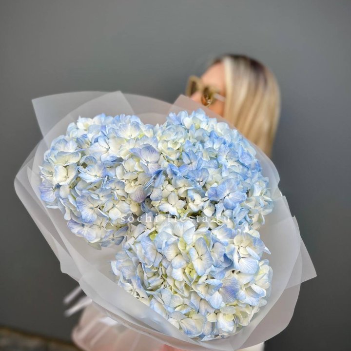 Букет из 3 голубых гортензий  в Рязани