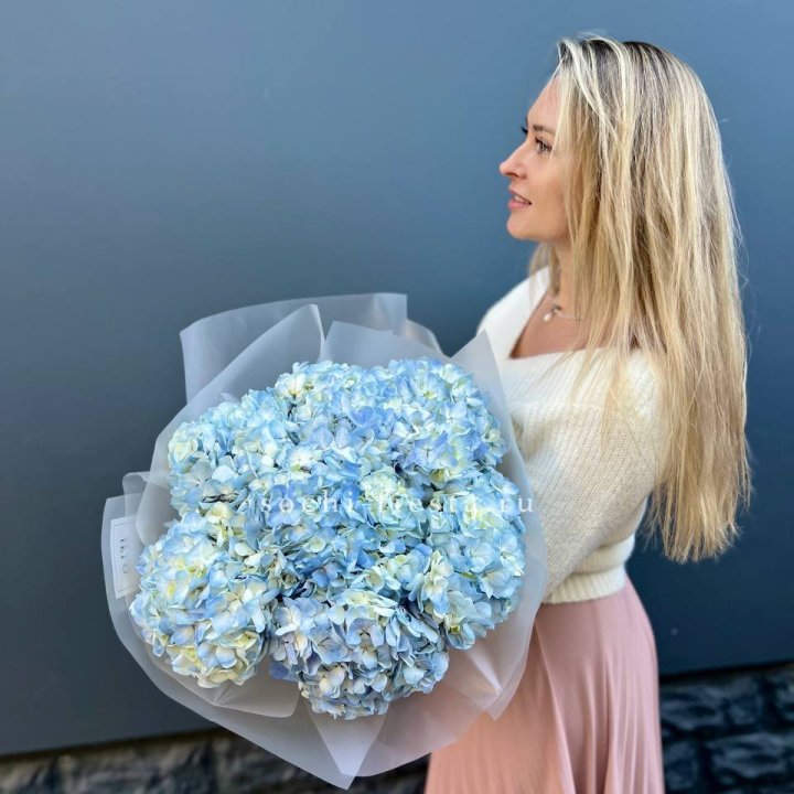 7 голубых гортензий в Рязани