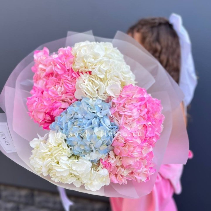 7 гортензий микс в Рязани