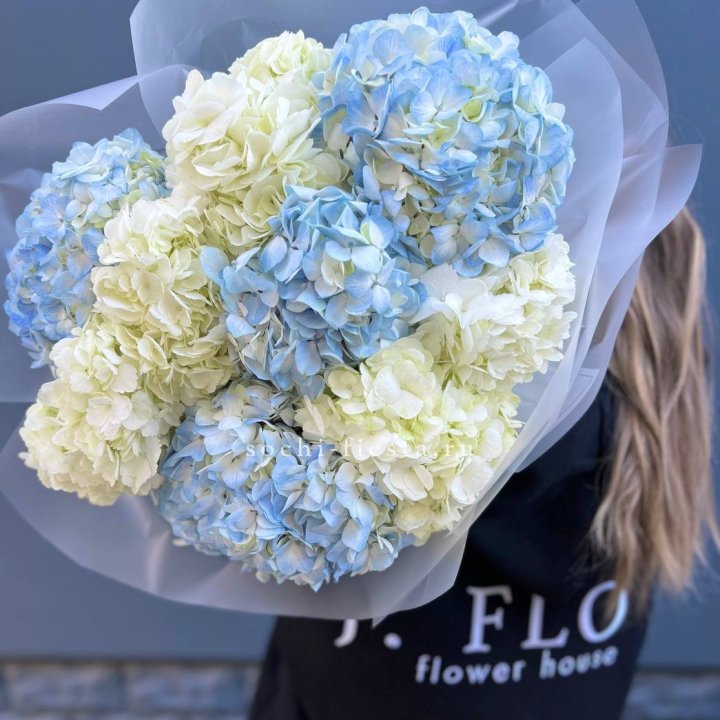 9 бело-голубых гортензий в Рязани