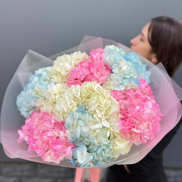 9 гортензий микс в Рязани