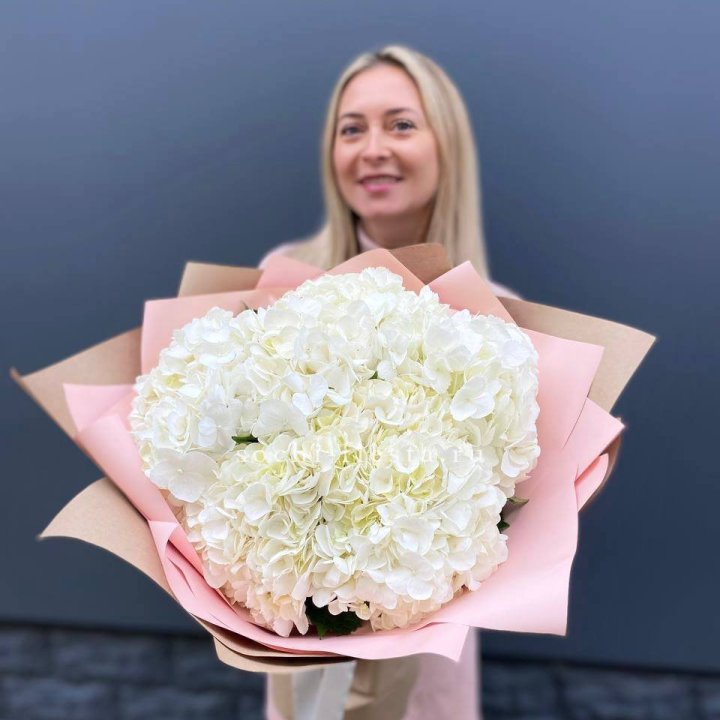 Гортензия белая в Рязани