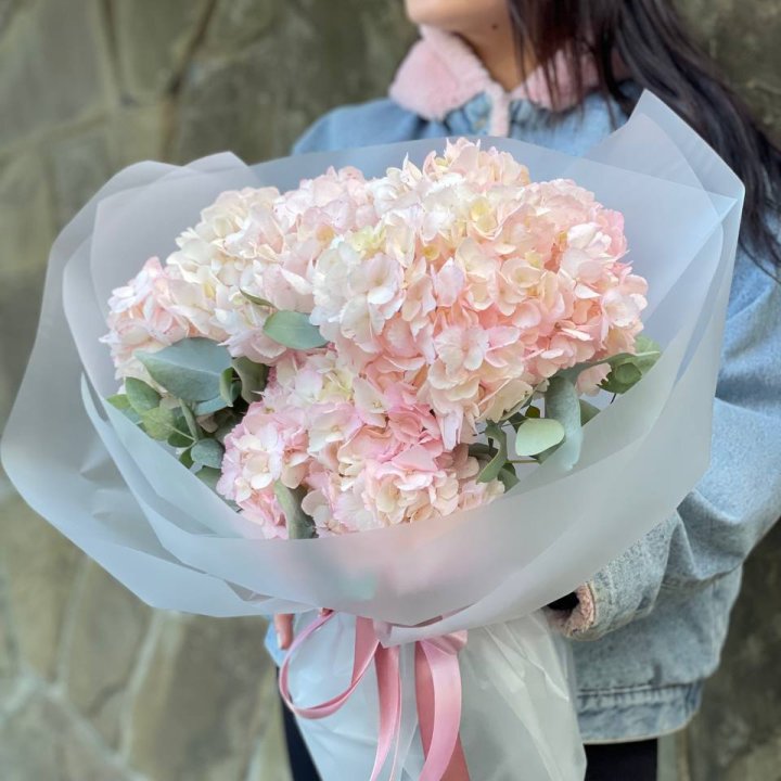 5 розовых гортензий в Рязани