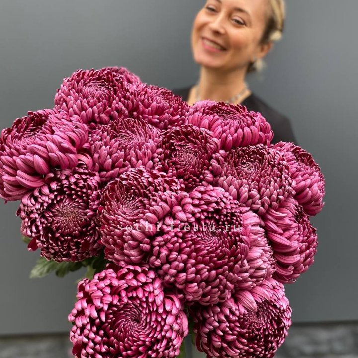 Охапка хризантем Бигуди в Рязани