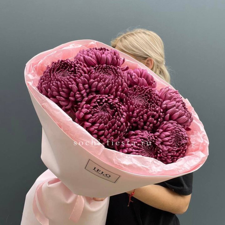 9 хризантем бигуди в Рязани