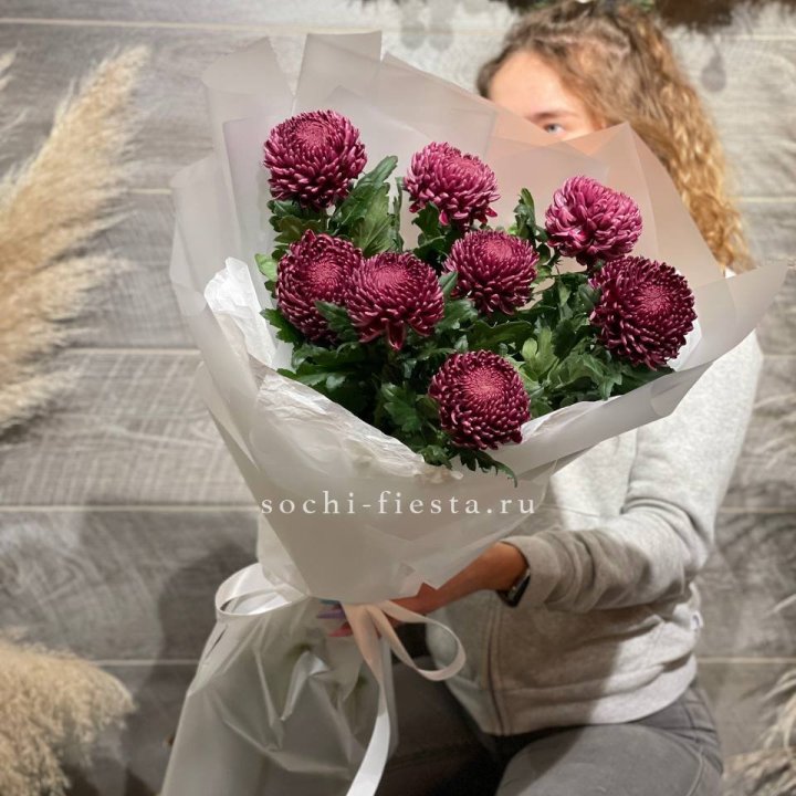 Хризантемы Бигуди в Рязани