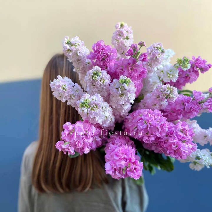 Охапка маттиолы в Рязани