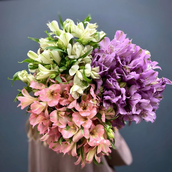 Охапка Альстромерии в Рязани