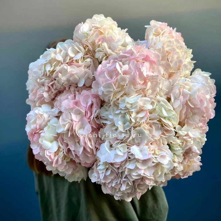 Охапка розовой гортензии в Рязани