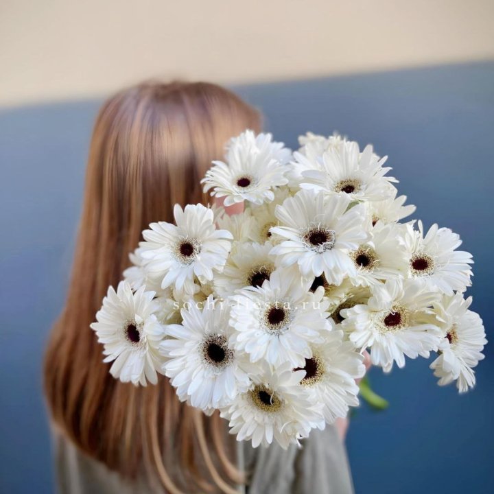 Охапка гербер в Рязани