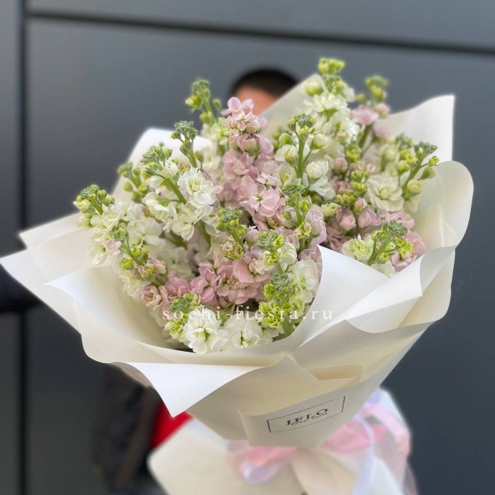 29 маттиол  в Рязани