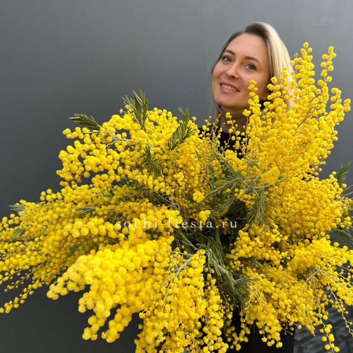 Охапка мимозы №2 в Рязани