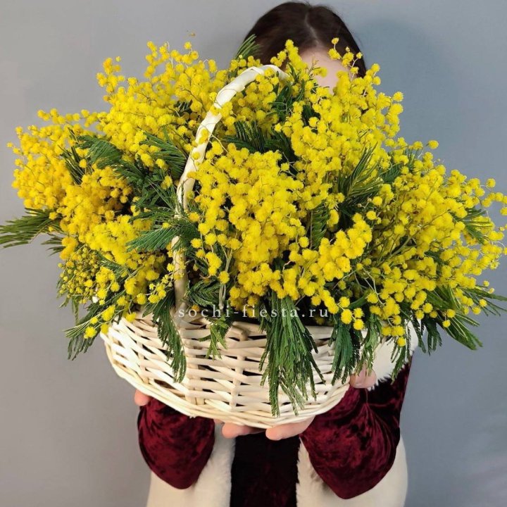 Корзина ароматной мимозы в Рязани