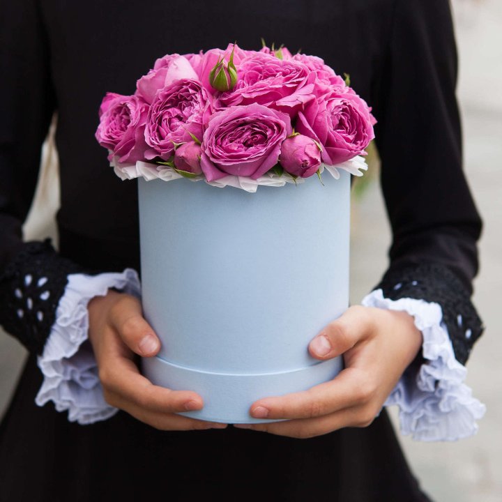 Бокс мини мисти в Рязани