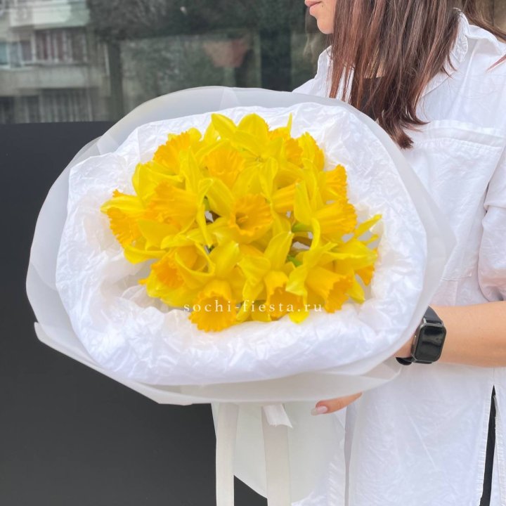 Нарциссы 25 шт в Рязани