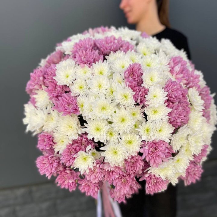  Букет 25 хризантем микс в Рязани