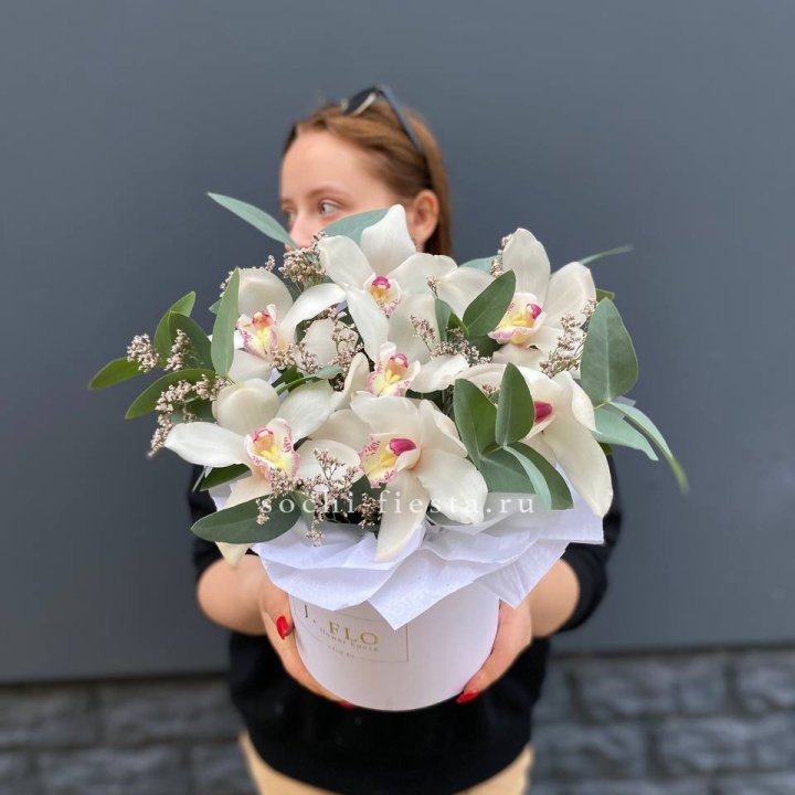 7 орхидей в боксе в Рязани