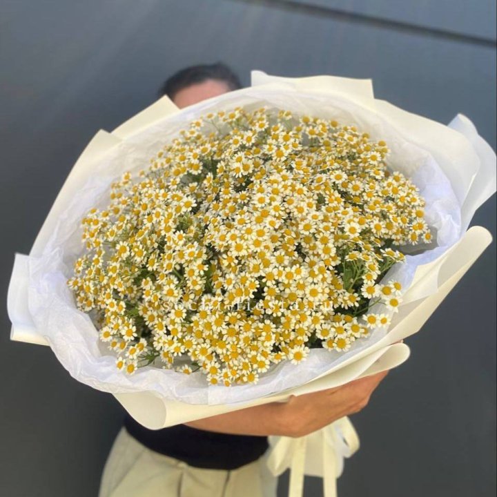 Букет ромашек №2 в Рязани