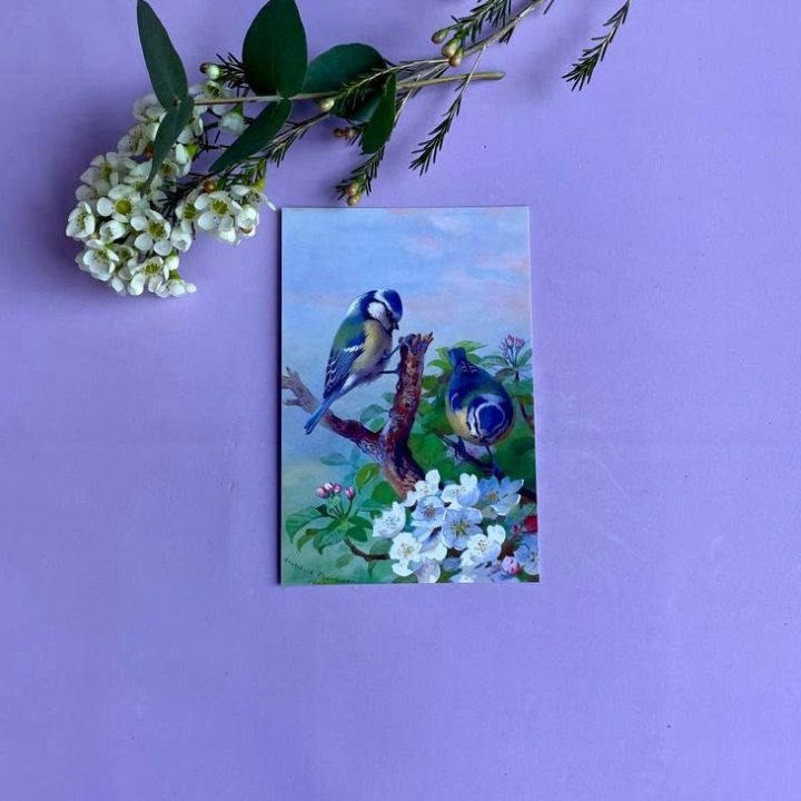 Открытка к букету "Птицы" в Рязани