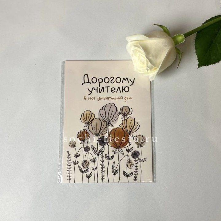 Открытка к букету "Дорогому учителю" в Рязани