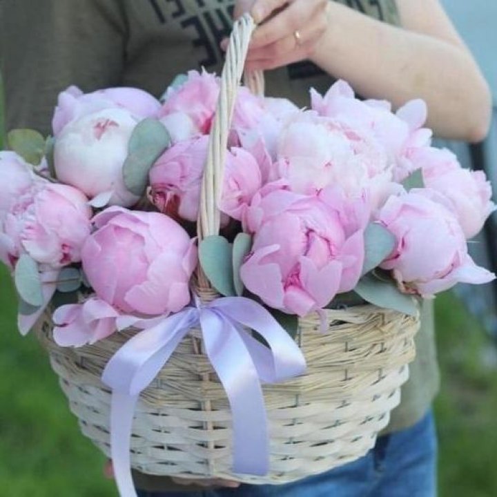 15 пионов в корзине в Рязани