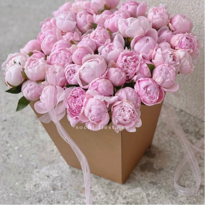 49 пионов в крафт коробке в Рязани