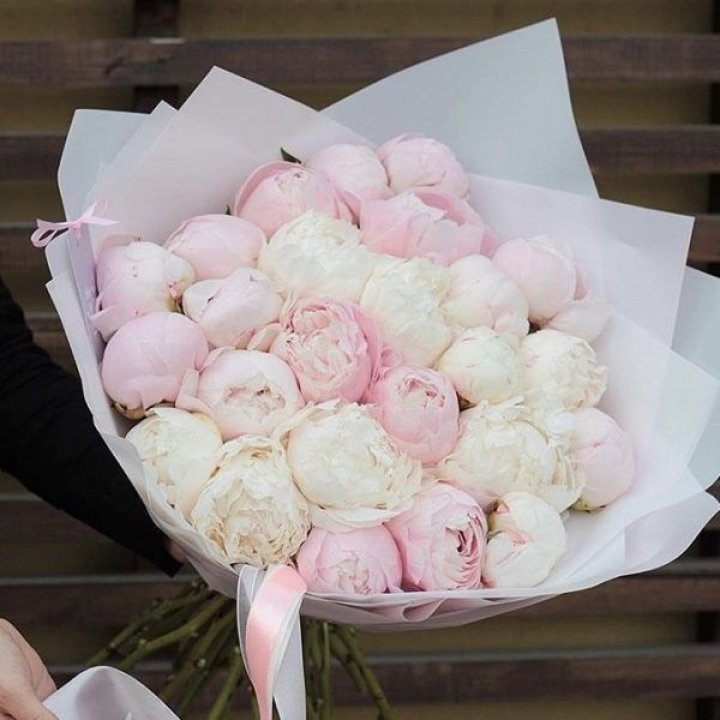 29 пионов в Рязани