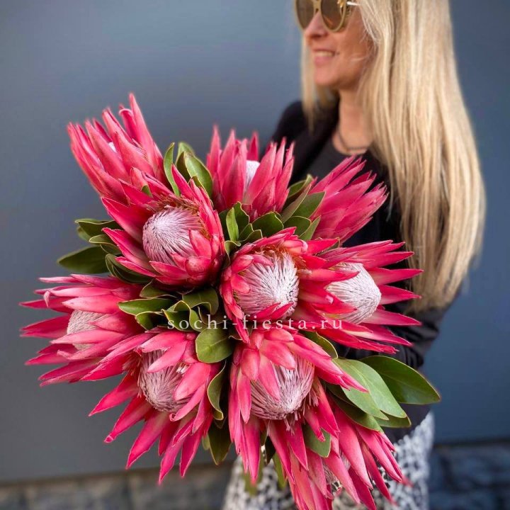 Протея штучно в Рязани
