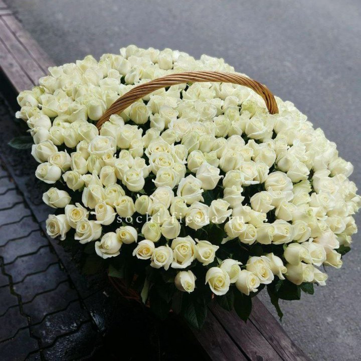 303 розы в корзине в Рязани