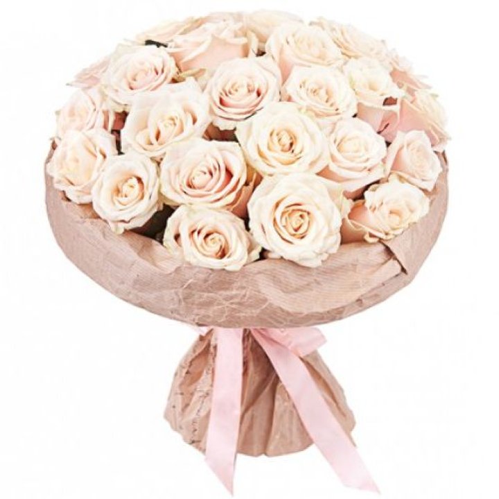 25 кремовых роз "Craft" в Рязани