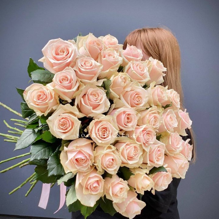 35 кремовых высоких роз в Рязани