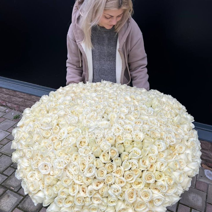 501 белая роза в корзине в Рязани