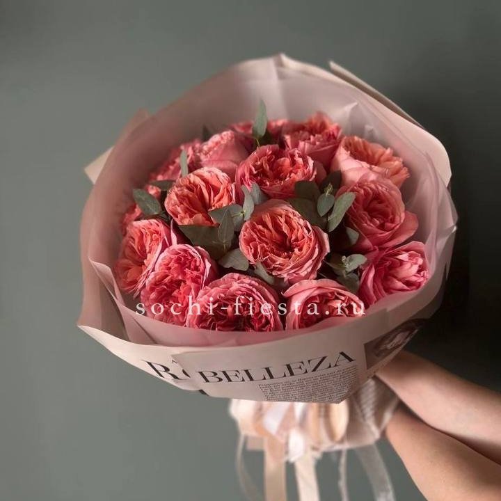 15 Пинк экспрешен в Рязани