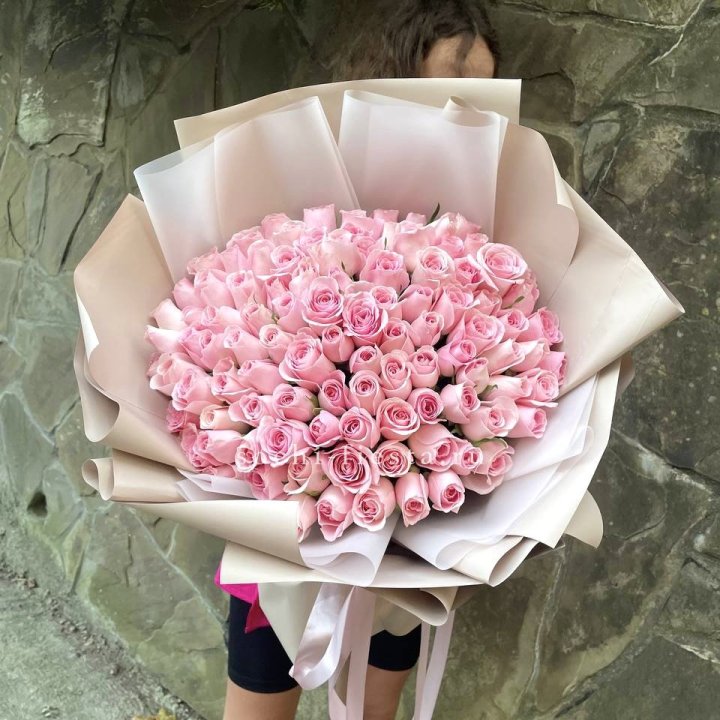 101 нежно-розовая роза Каролина  в Рязани