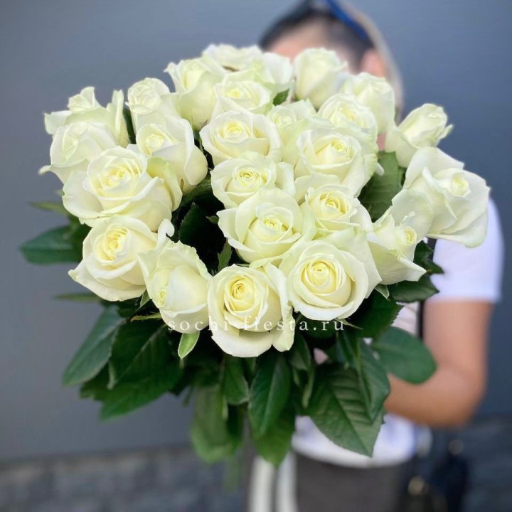 Голландские розы белые 25 в Рязани