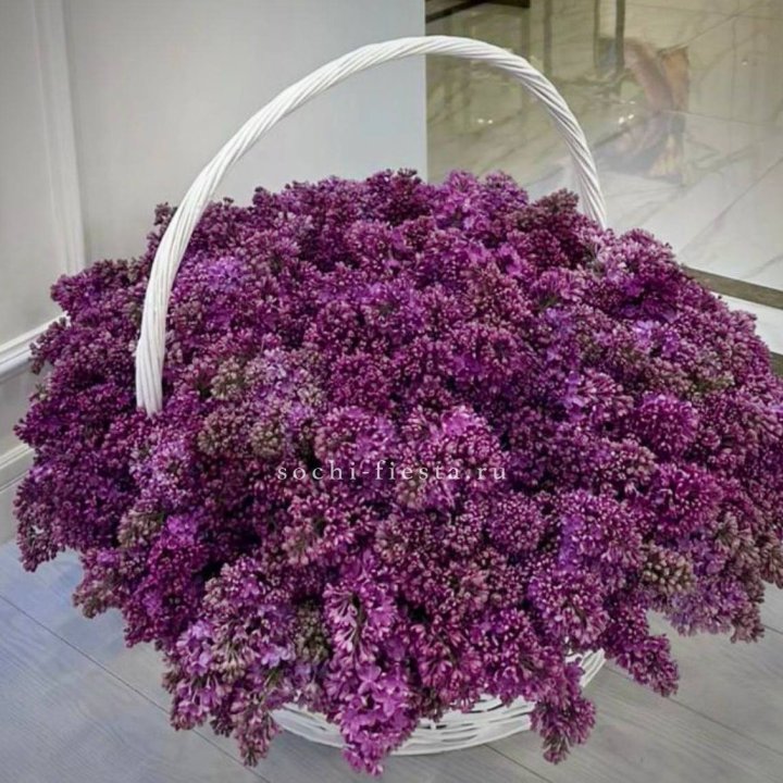 Корзина сирени в Рязани