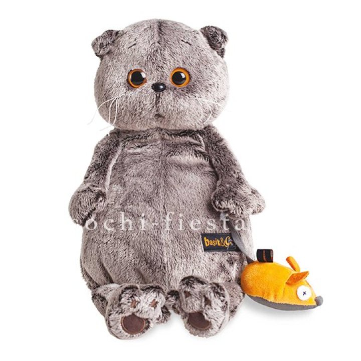 Кот Басик с мышкой в Рязани