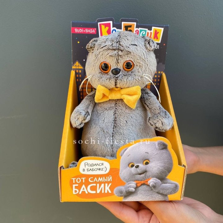 Кот Басик с бабочкой в Рязани