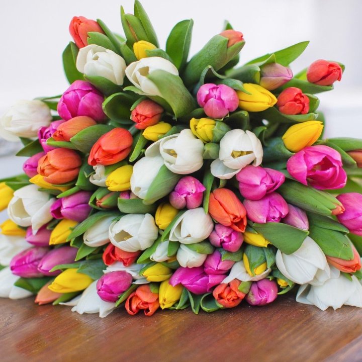 79 тюльпанов "Рандом" в Рязани